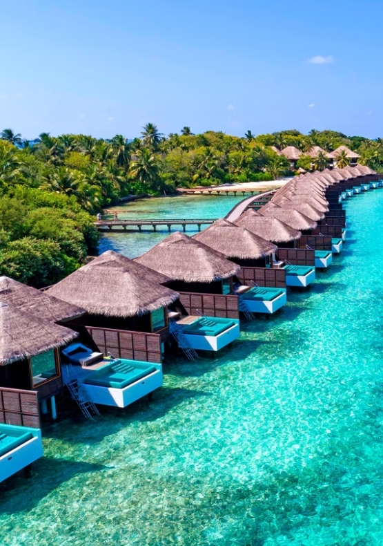 Maldives-1.html